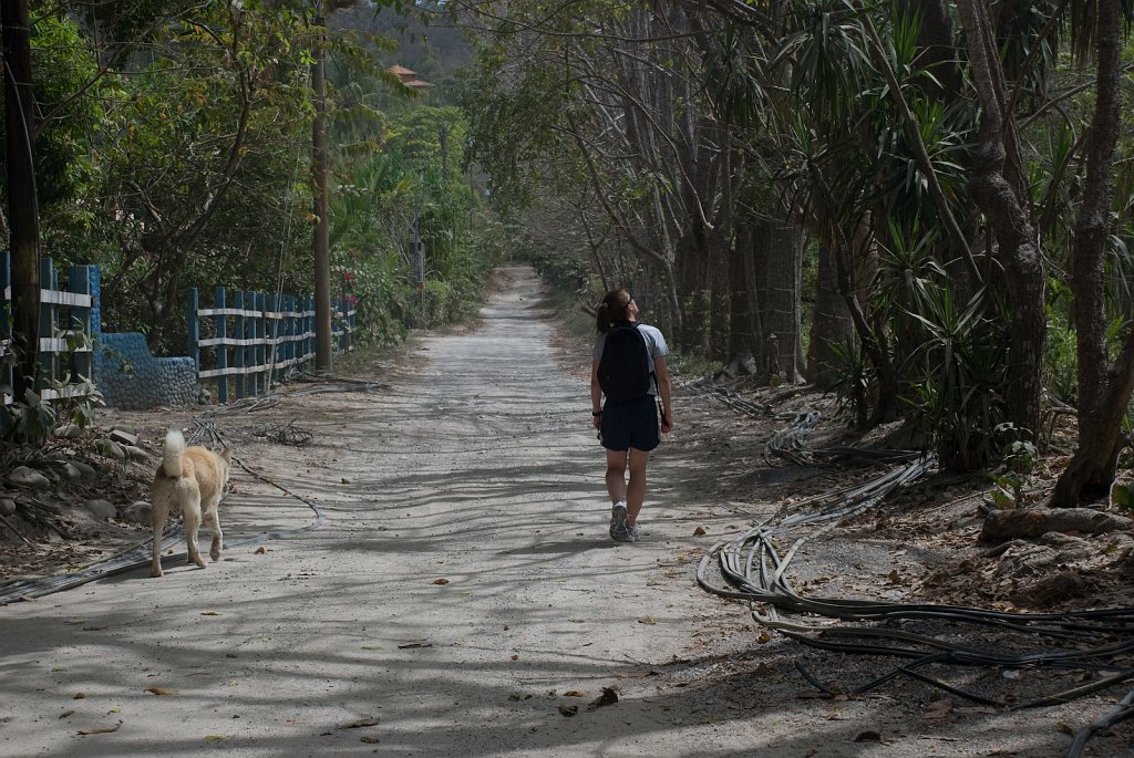 DSC_2380.jpg - More dirt road, more dogs