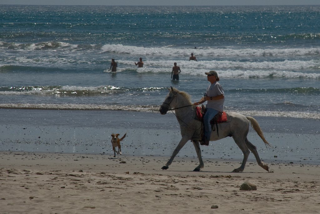 DSC_2534.jpg - The beach is busy