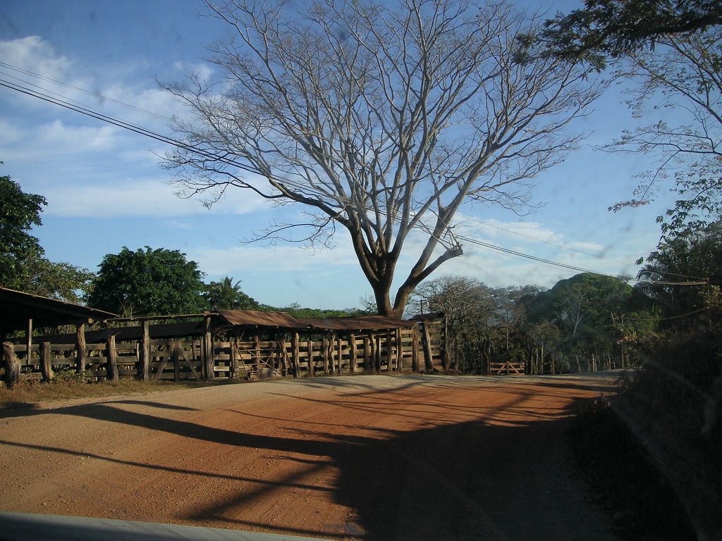 PICT0030.jpg - Our drive to Tambor Airport