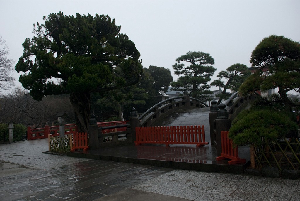 066_5408.jpg - Tsuruoka-hachimangu Shrine, Kamakura