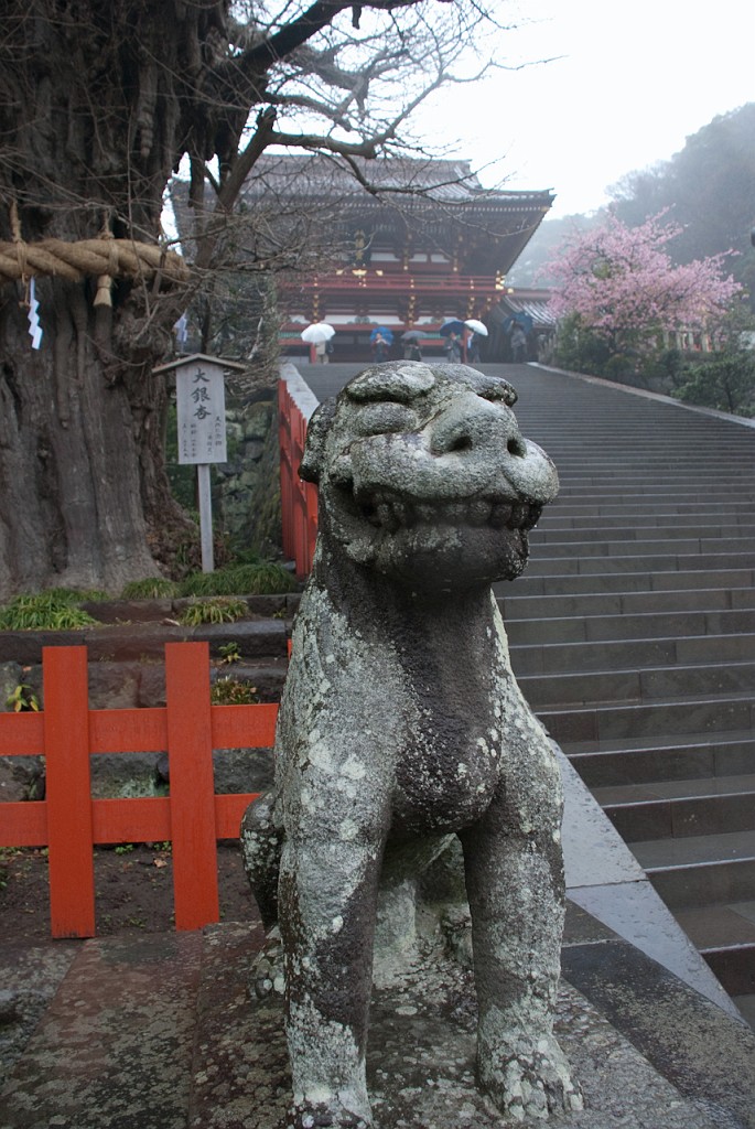 069_5417.jpg - Tsuruoka-hachimangu Shrine, Kamakura