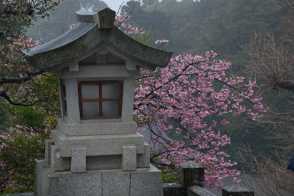 070_5418.jpg - Tsuruoka-hachimangu Shrine, Kamakura