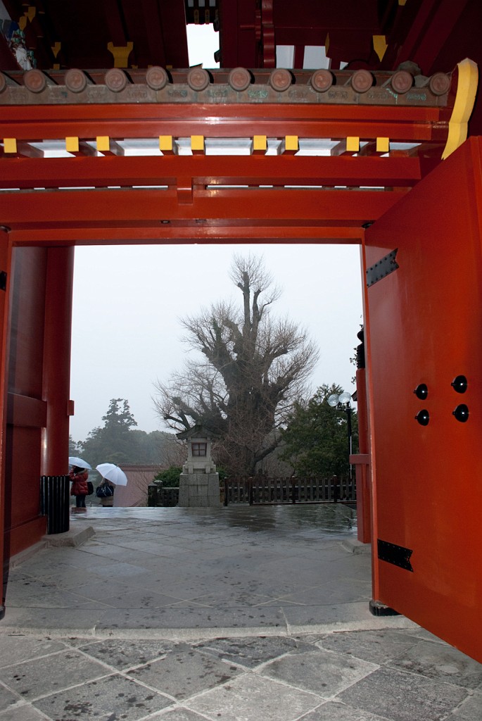 071_5430.jpg - Tsuruoka-hachimangu Shrine, Kamakura