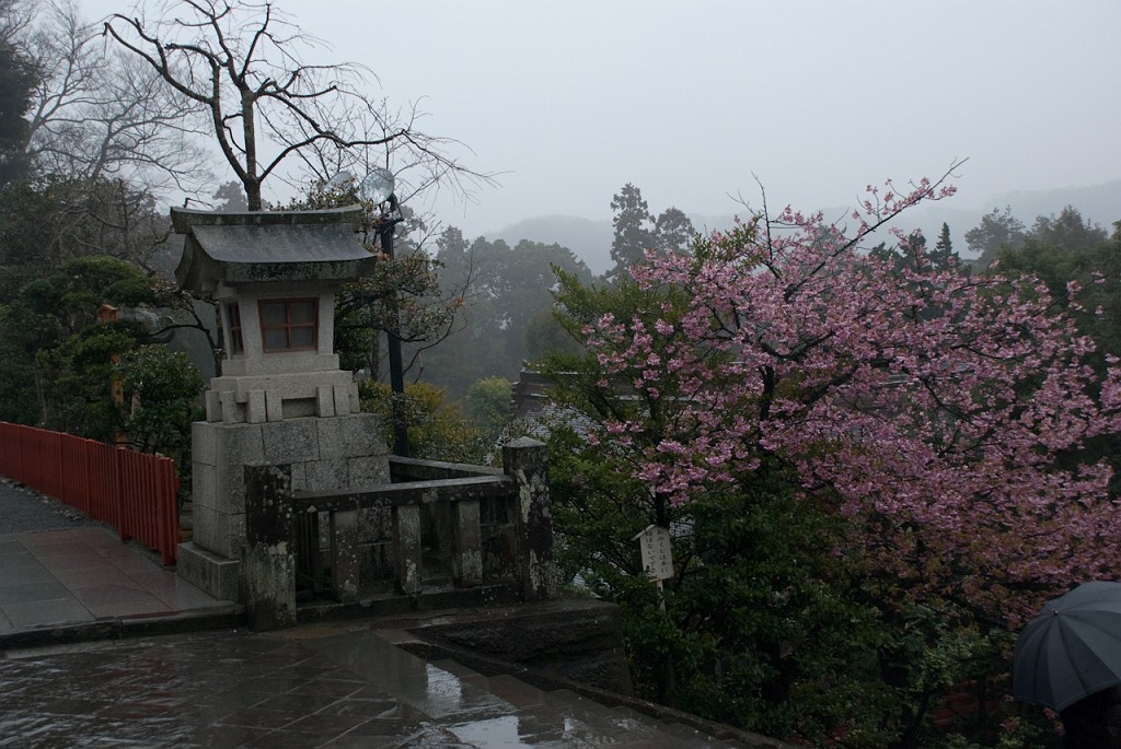 072_5434.jpg - Tsuruoka-hachimangu Shrine, Kamakura