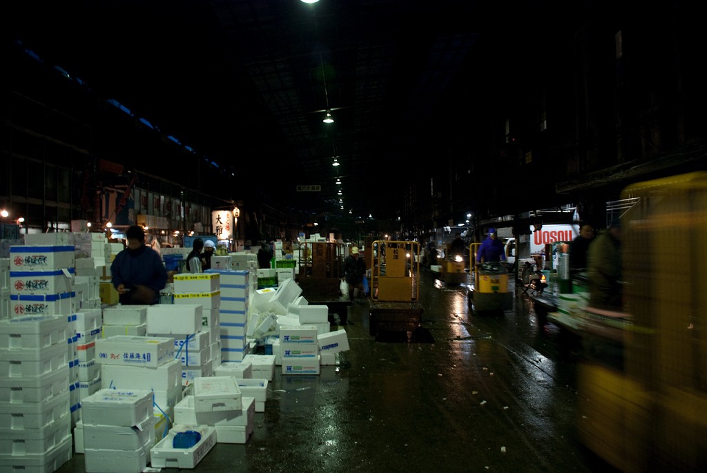 091_5597.jpg - Tsukiji Fish Market