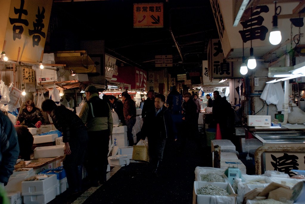 094_5604.jpg - Tsukiji Fish Market
