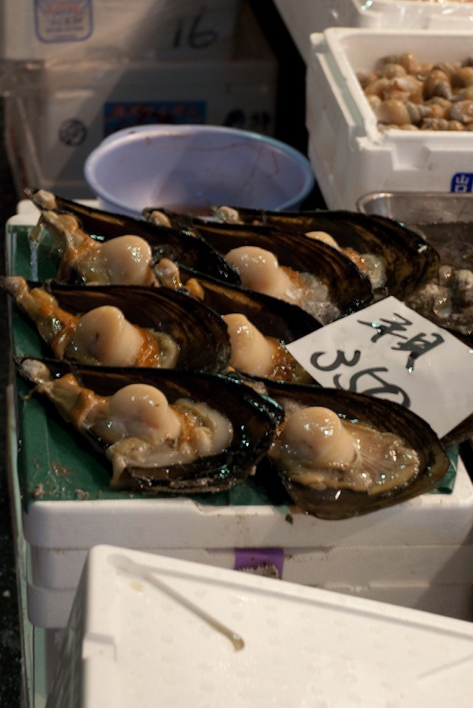 102_5620.jpg - Tsukiji Fish Market