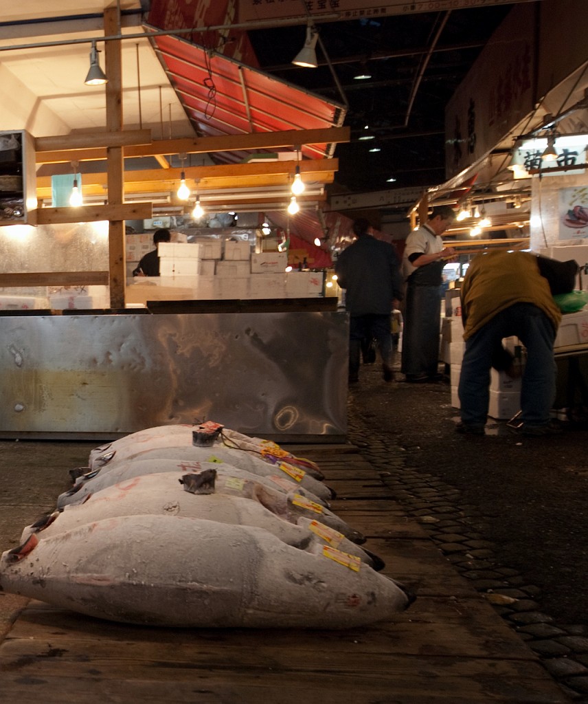 115_5647.jpg - Tsukiji Fish Market