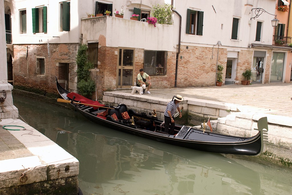 DSC_3113.jpg