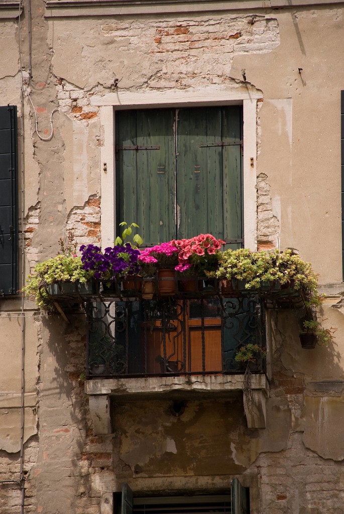 DSC_3123.jpg