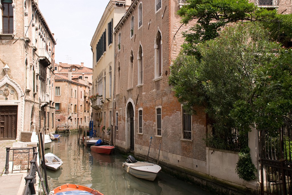 DSC_3131.jpg