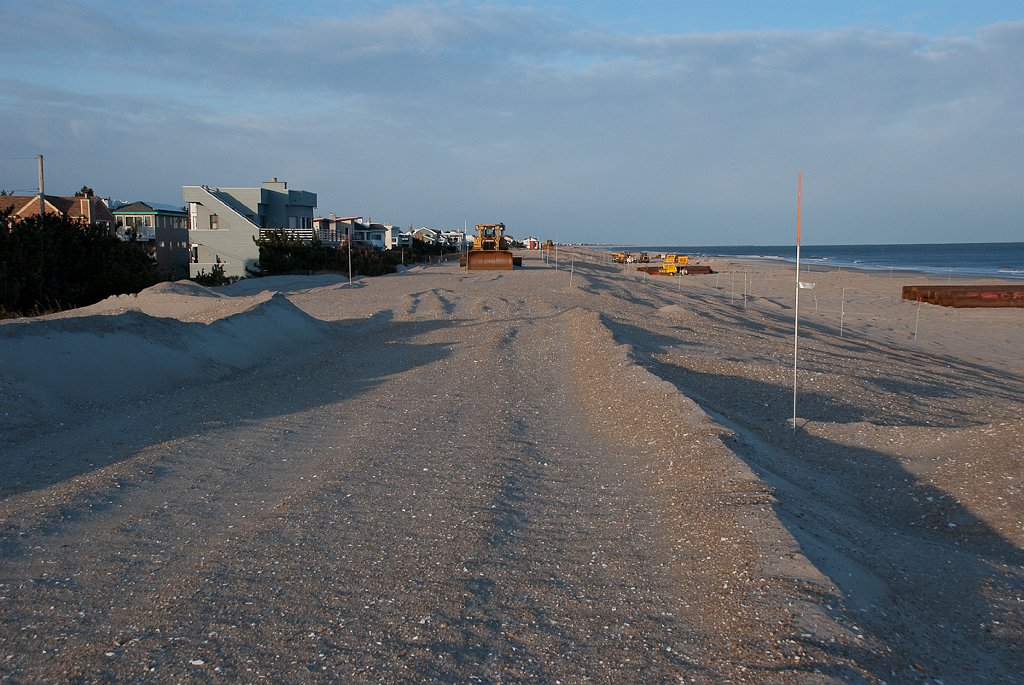 DSC_7124.jpg - An amazing change after just one month.