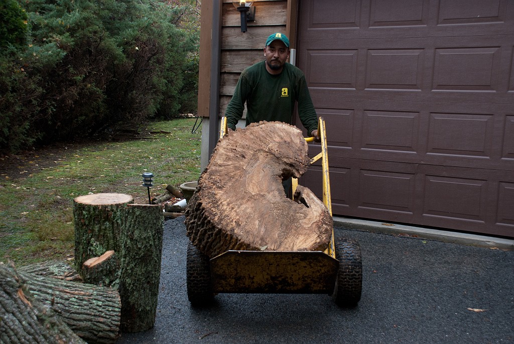DSC_8167.jpg - Carting away the sections.