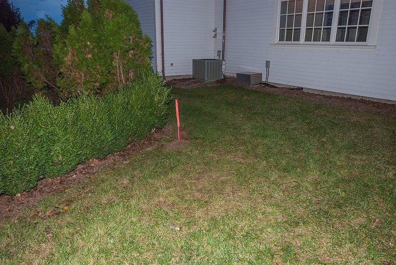 DSC_2717.jpg - Uh-oh. A surveyor for an adjoining property put a stake in our lawn toward the North side of the house.  Apparently, the rows of boxwoods are not very accurate lot lines.