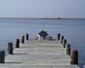 Austin fishing at Lee Ave dock.